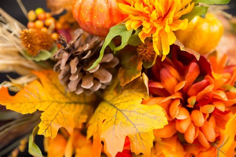  Fiori d'Autunno: Una celebrazione vibrante di colore e delicatezza impermanente