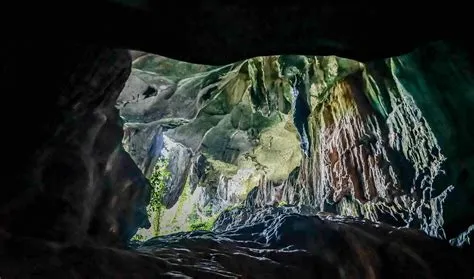  Il Gigante di Gua Tempurung: Una Sinfonia di Pietra e Mistero!