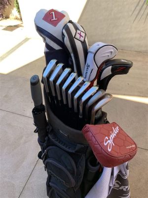 What Clubs Should Be in My Golf Bag: A Journey Through the Absurd and the Practical